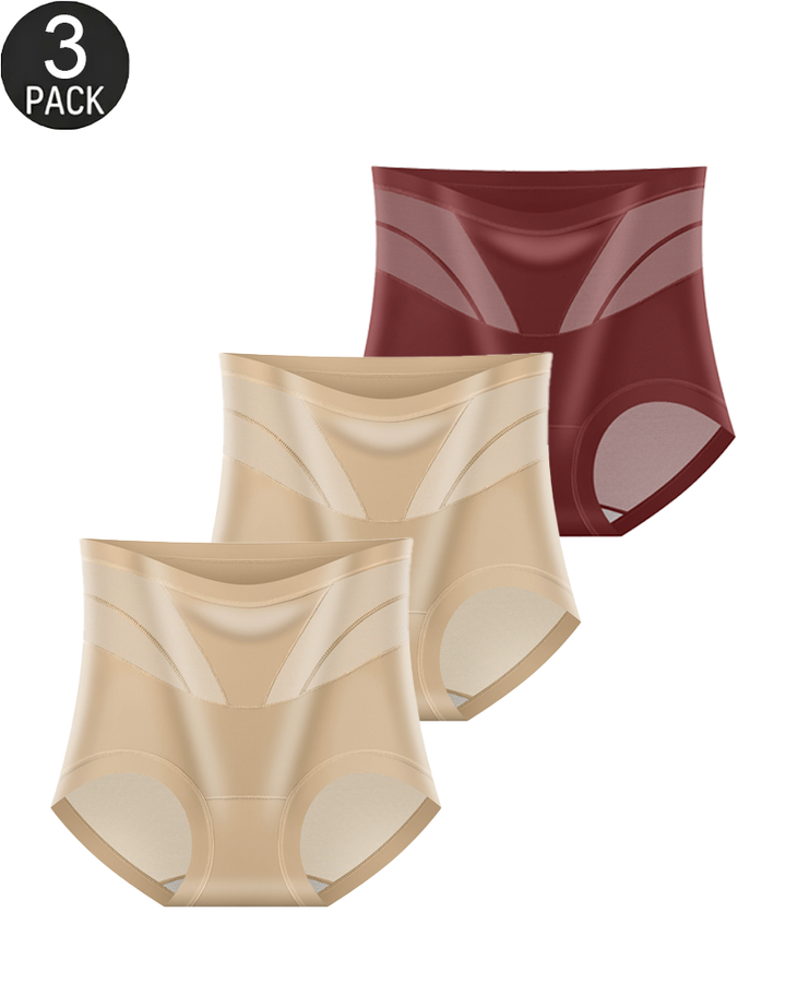 3-Pack Women's High-Waisted Tummy Control Mesh Shaping Panties