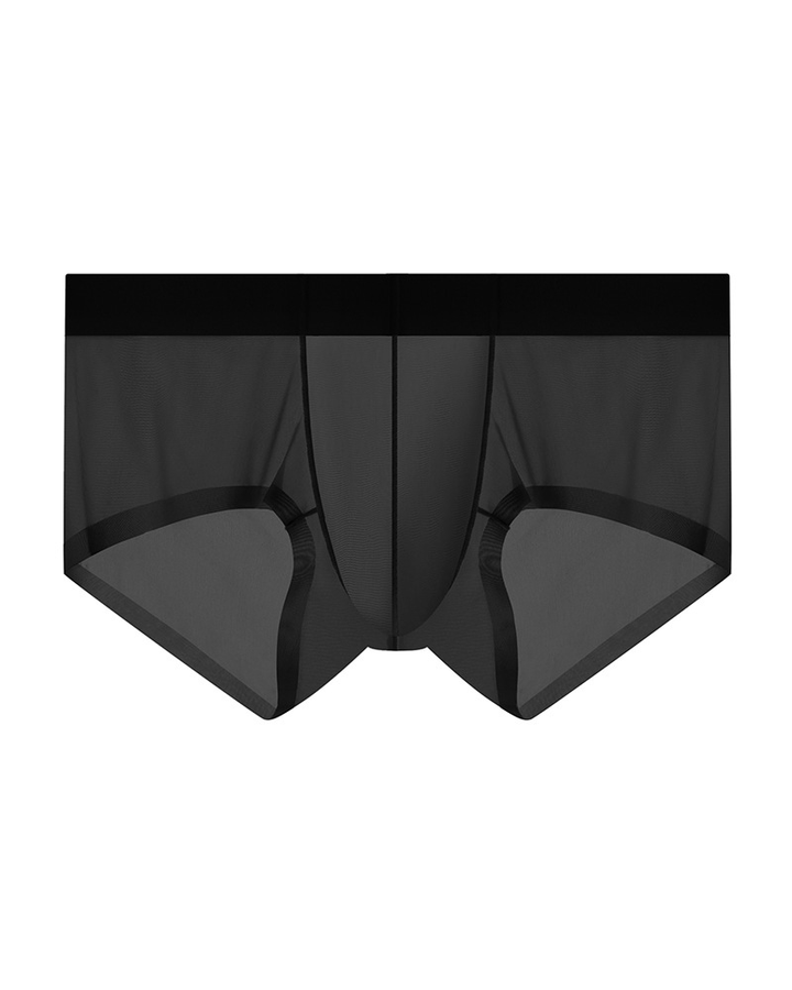 Men’s Ice Silk Sheer Cooling Briefs