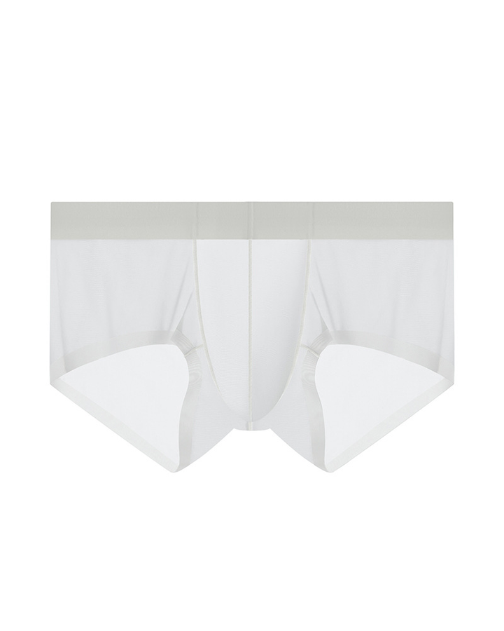 Men’s Ice Silk Sheer Cooling Briefs