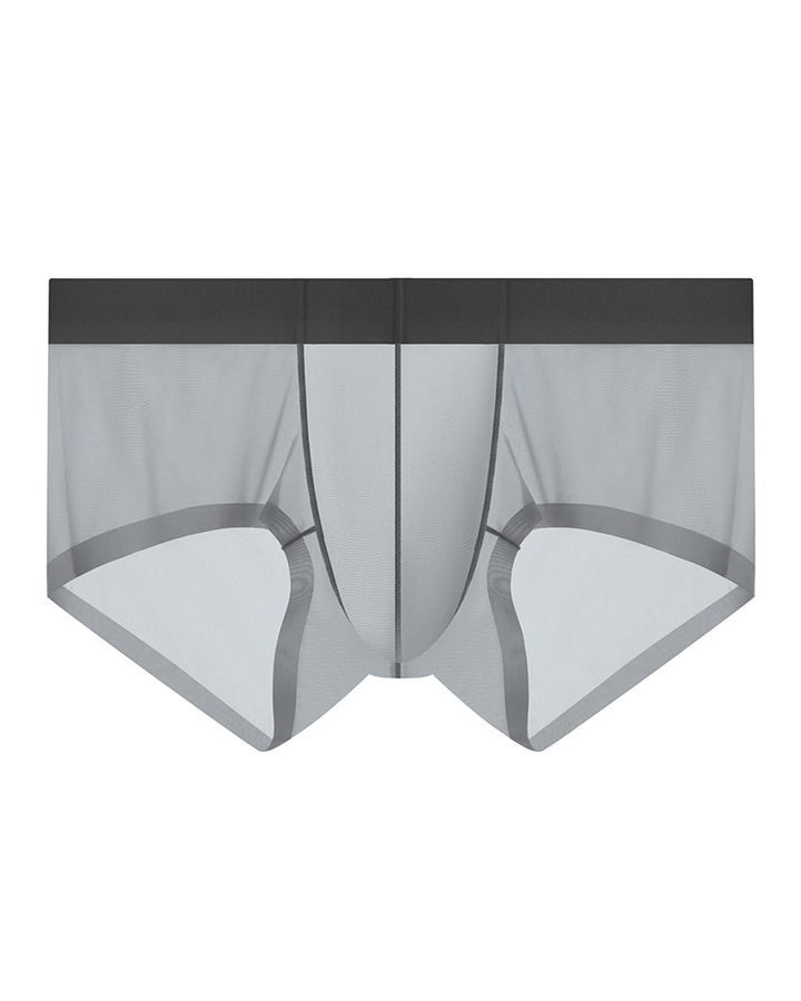 Men’s Ice Silk Sheer Cooling Briefs