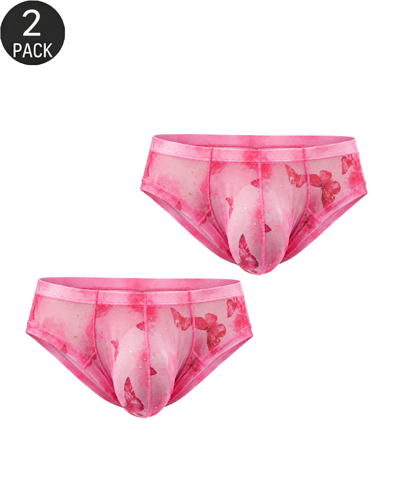 2-Pack Sheer Butterfly Print Low-Rise Briefs
