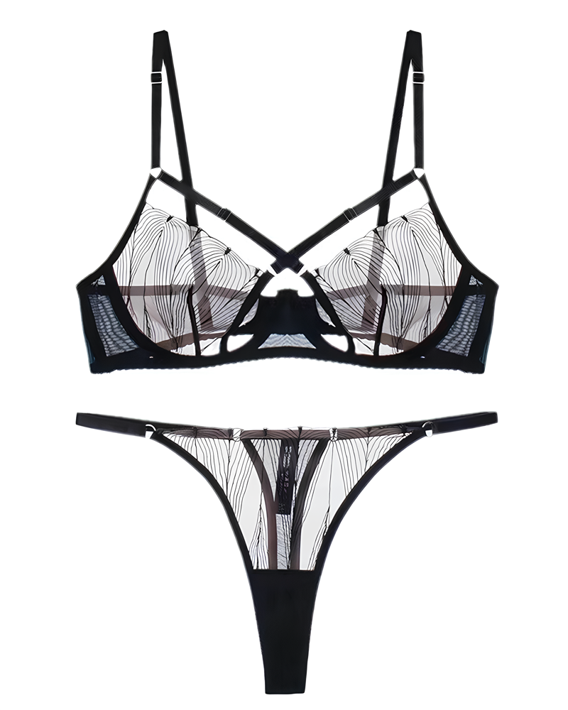 Sexy Sheer Embroidered Mesh Cutout Bra & Thong Lingerie Set