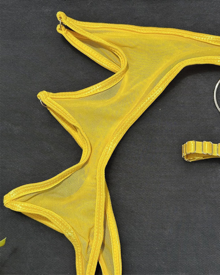 Sexy Metal O-Ring Cutout Sheer Mesh Lingerie Set