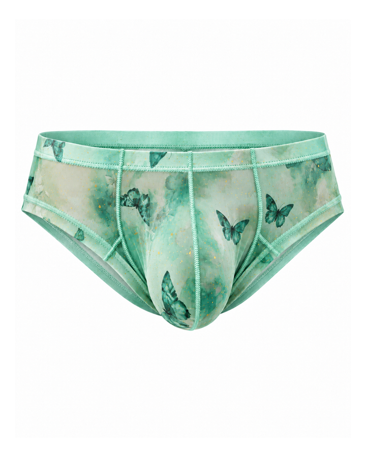 2-Pack Sheer Butterfly Print Low-Rise Briefs