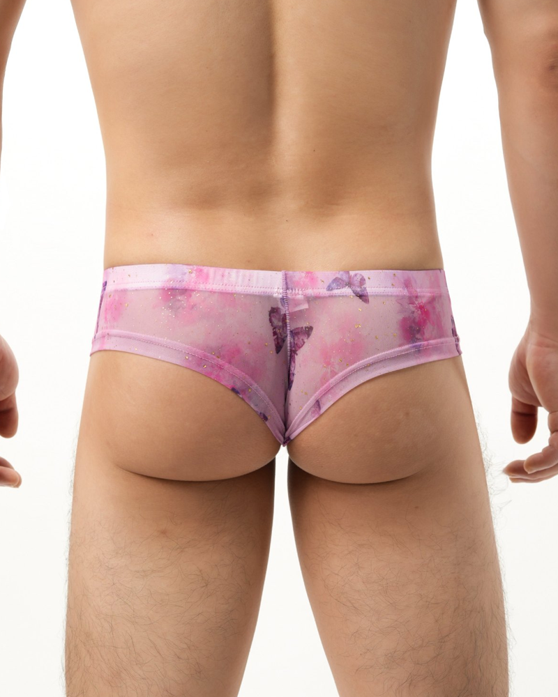 2-Pack Sheer Butterfly Print Low-Rise Briefs