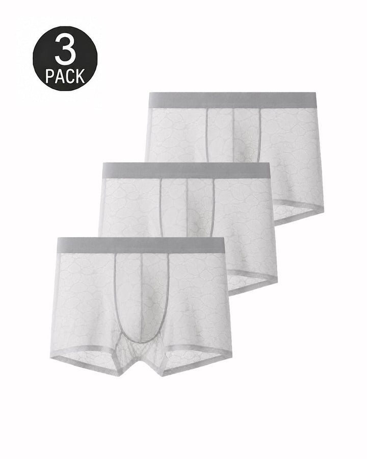 Men's Ultra-thin Lace Breathable Mesh Boxer Briefs